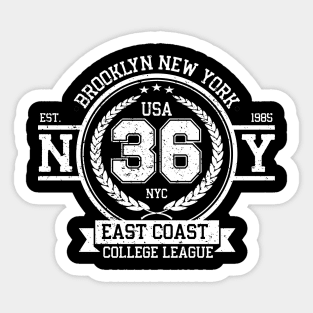 Brooklyn New York College League Vintage Denim Sticker